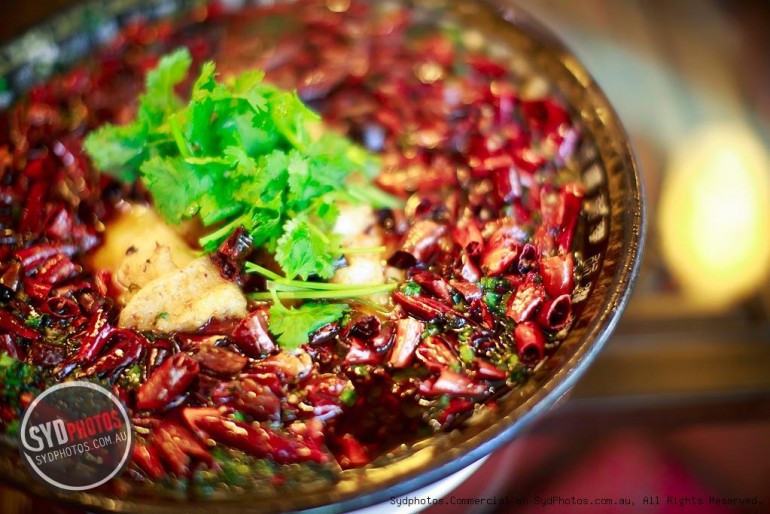 水井坊-悉尼-CITY店 Red Chilli Group 水井坊-悉尼-CITY店 Red Chilli Group
