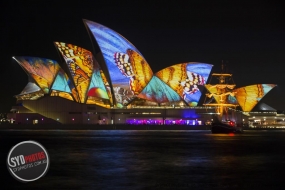 【节庆】悉尼Vivid Sydney灯光节要来了 不夜城模式开启