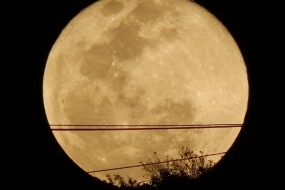 【赏月】昨晚的悉尼超级月亮你看到了吗？小天使也来凑热闹，再来感受下（多图）
