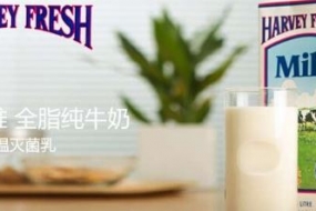【震惊】澳洲纯牛奶在香港被紧急召回：细菌超标1万倍
