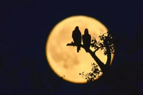 【祝福】中秋佳节，你用最虔诚的方式祝福亲友，SYDPHOTOS 送你最美的月亮
